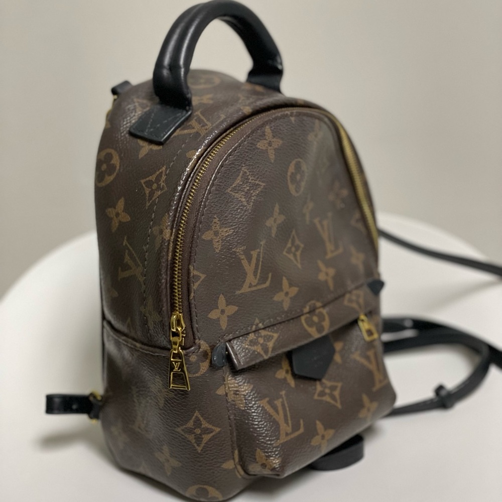 Authentic Louis Vuitton mini back bag